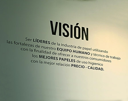 vision